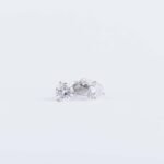 1 Carat Diamond Earrings